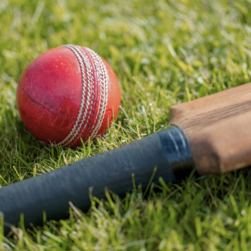 Cricket